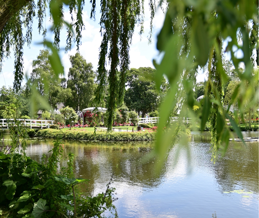 Bestattungsgarten